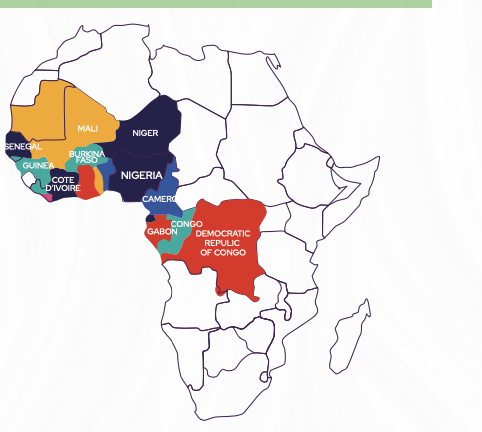 https://saam-mali.com/wp-content/uploads/2026/06/Capture-decran-2026-06-27-a-19.50.22.png